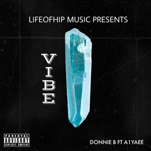 VIBE (Explicit)