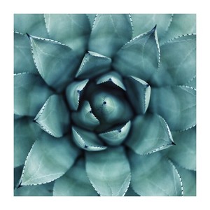 Summertime (Relaxed and Revisited - Take 1)