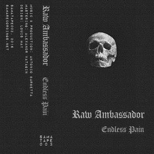 Raw Ambassador - Trayez