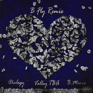 B Fly(feat. Valley TBA & B. Marie) (Remix|Explicit)