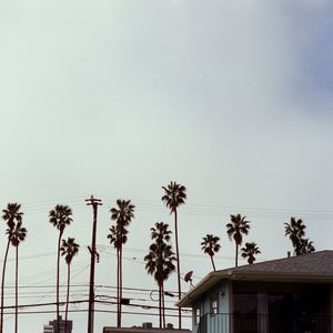 secret road (Explicit)