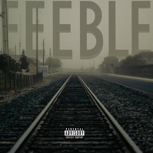 FEEBLE (Explicit)