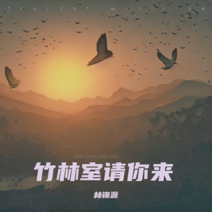 竹林室请你来
