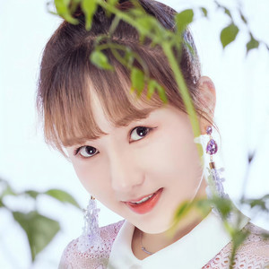 你的样子 (DJ版)