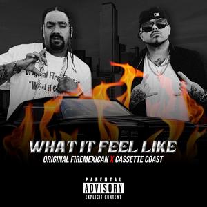 What it feel like (feat. Cassette Coast) [Explicit]