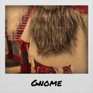 Gnome