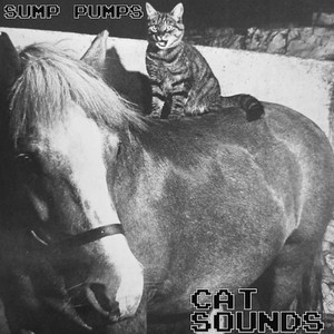 Cat Sounds