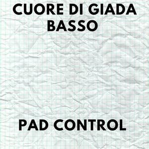 Pad control