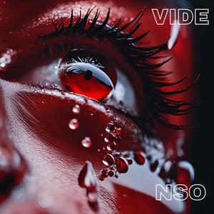 VIDE (Explicit)