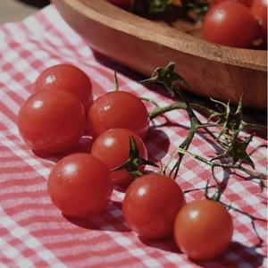 疗愈音律 - 提振一下心情（八音盒）