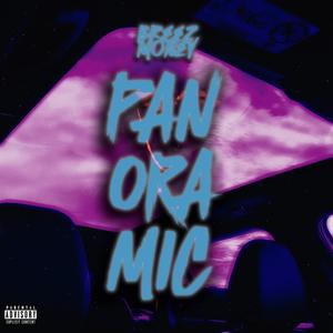 Panoramic (Explicit)