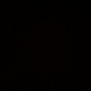 The Story of Dana (Explicit)