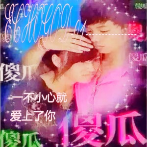 傻瓜