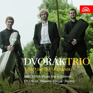 Dvořák Trio - Dumky. Piano trio, Op. 90, B. 166: II. Poco adagio