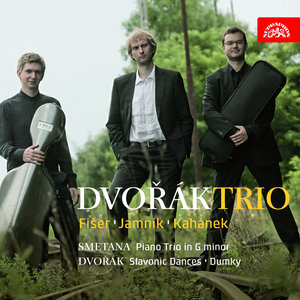 Dumky. Piano trio, Op. 90, B. 166: II. Poco adagio