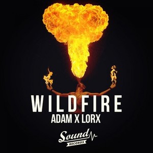 Wildfire