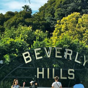 90210 (feat. THEME)