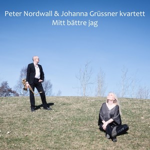 Sista dansen(feat. Johanna Grüssner)