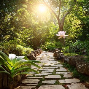 A Melody for the Open Road