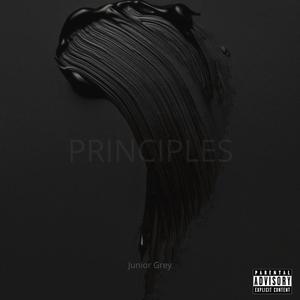 Principles (Explicit)