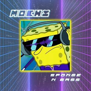 sponge n bass