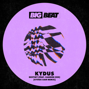 Destiny(feat. Camden Cox) (Kydus 5am Remix)