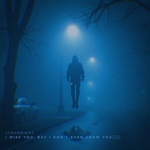 i miss you, but i don't even know you