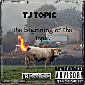 Flicked (feat. Solo Will & Jae & Mar 35x) (Explicit)