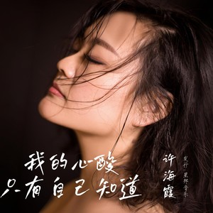 我的心酸只有自己知道DJ版 (伴奏)