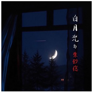 白月光与朱砂痣 (Remix)
