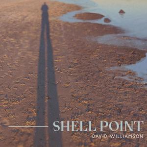 Shell Point(feat. BraveWater, Illnomadic & Kelly Hyde)