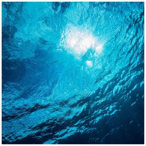 Purpose(feat. Paki Dunn)