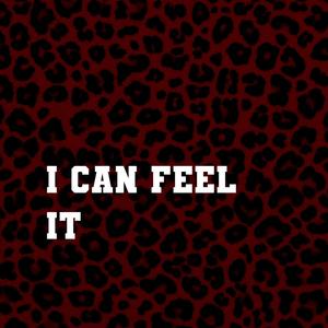 I can feel it (feat. HAMMALI & SOTT)