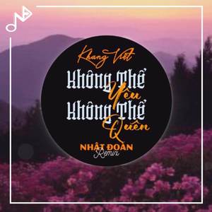 Không Thể Yêu Không Thể Quên (Nhật Đoàn Remix)