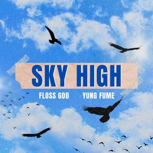 SKY HIGH (feat. Yung Fume) [Explicit]