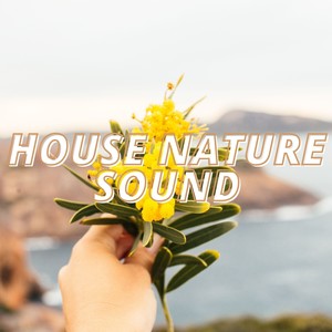Bass Around the Seaside