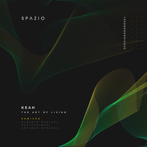 The Art of Living (Audioframes Remix)