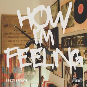 How I'm Feeling (Freestyle) (Explicit)