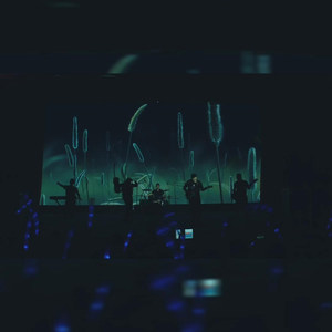 公子杨 - 重阳醉歌