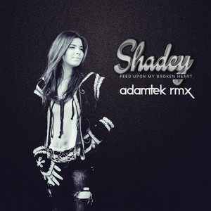 Feed Upon My Broken Heart (Adamtek Extended Remix)