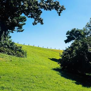Walk at the Park (feat. Texxu, fernie, Daniel Forests & Oiwa) (Explicit)