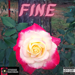 Fine (Explicit)