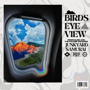 Birds Eye View (Explicit)