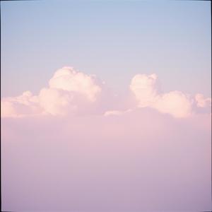 风知道 The Wind Knows