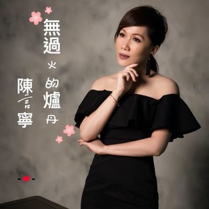 无过火的炉丹封面