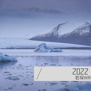 若琛WRChen - 病变