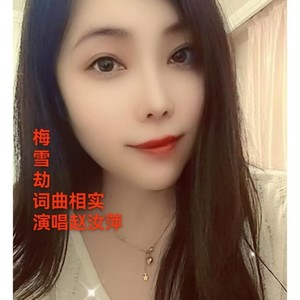 梅雪劫