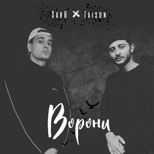 Ворони