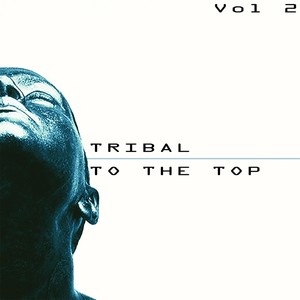 Tribal to the Top, Vol. 2 - Tribal for Every Mood