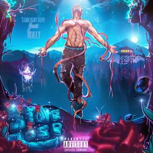 Starlight Love (feat. Holly) (Radio Edit)